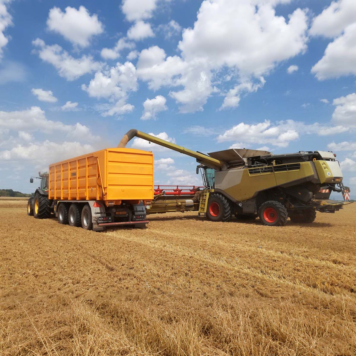  Agriculture 